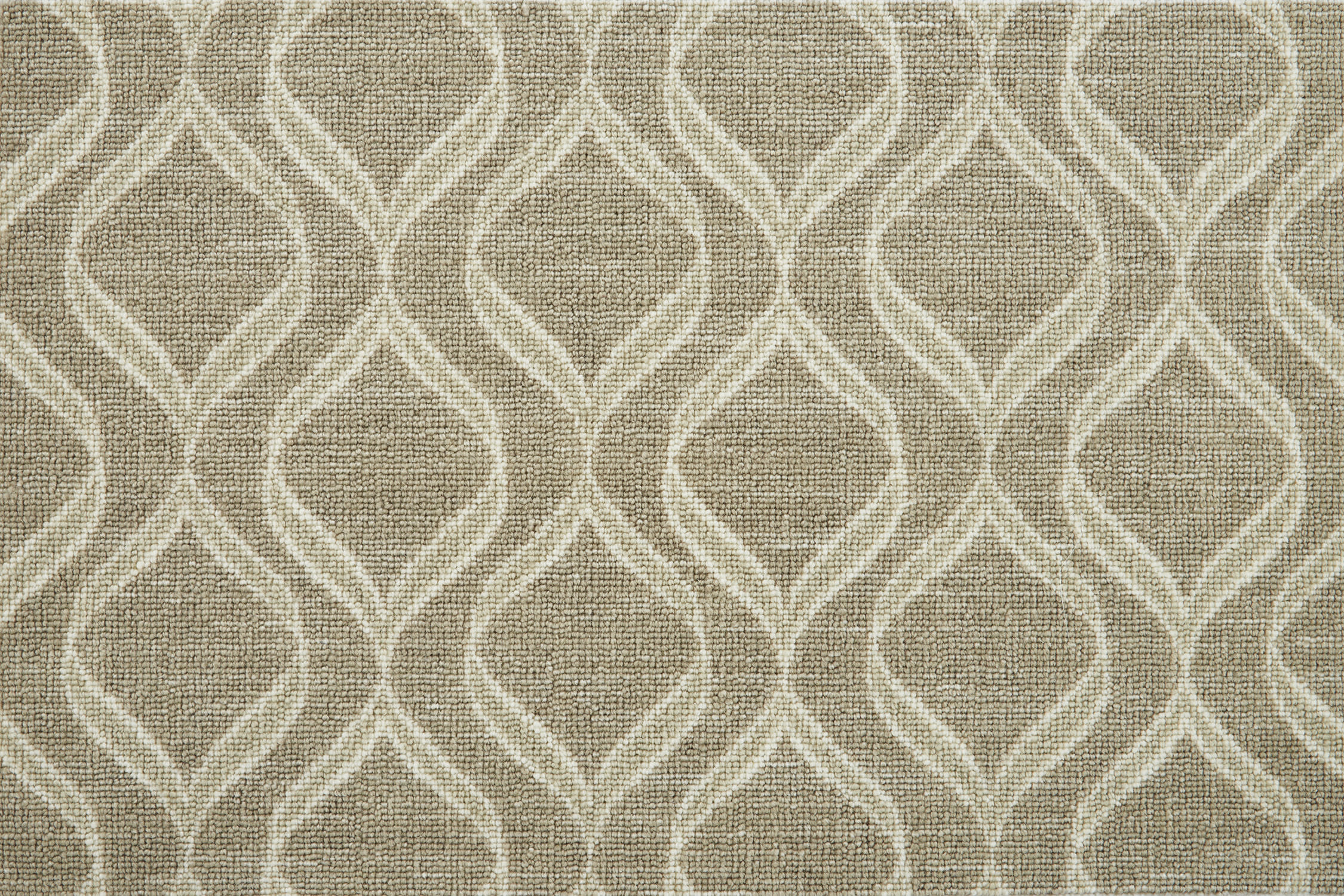 color-rug1