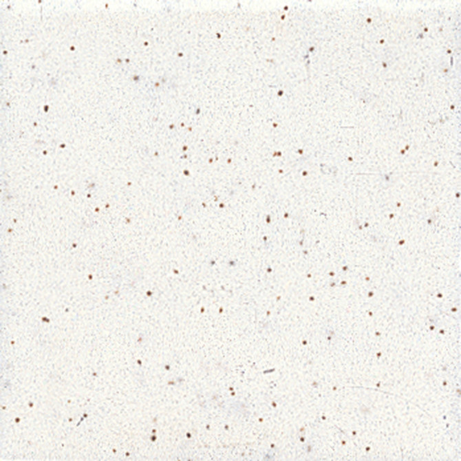 Color Variation Image