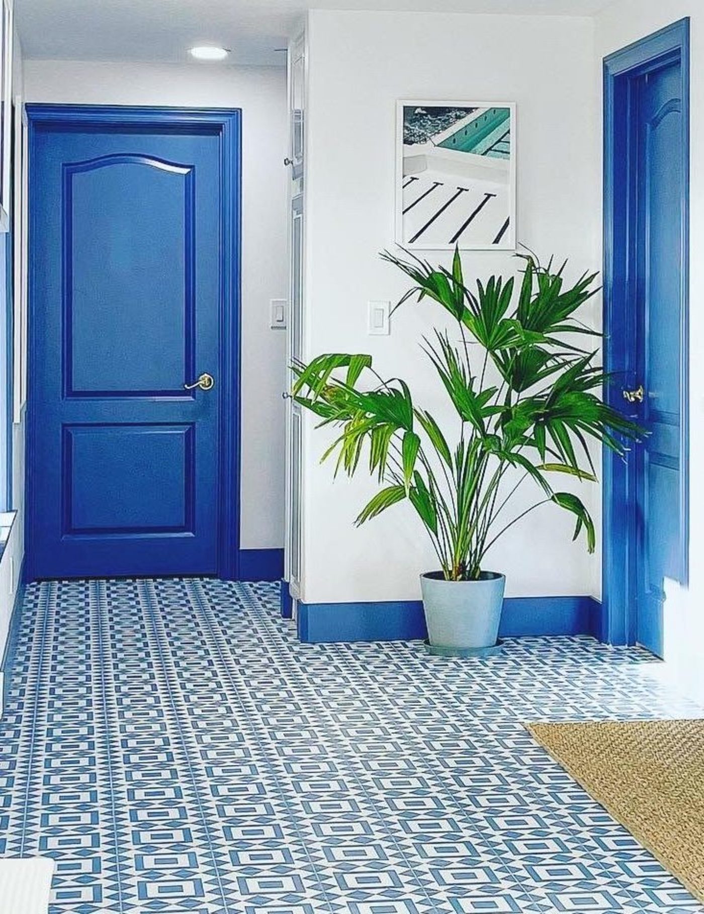 a hallway with blue and white tiled floors, a blue door, and a potted plant.