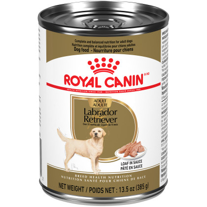 Royal Canin Breed Health Nutrition Labrador Retriever Loaf In Sauce Dog Food