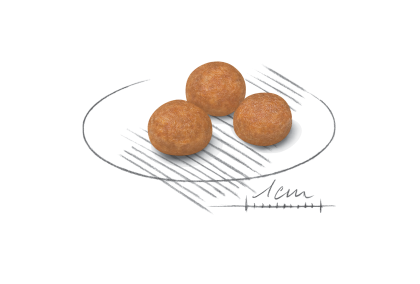 X-Small Adult kibble