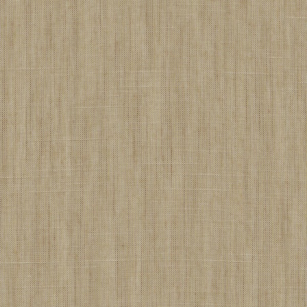 Forecast Forecast-70 Roman Blind