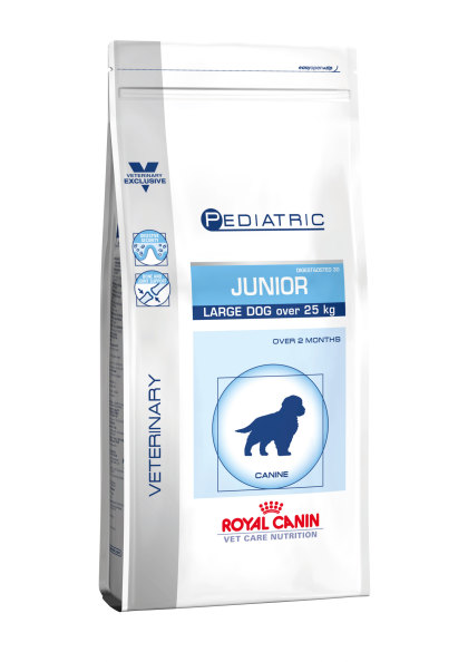 Pediatric junior large dog