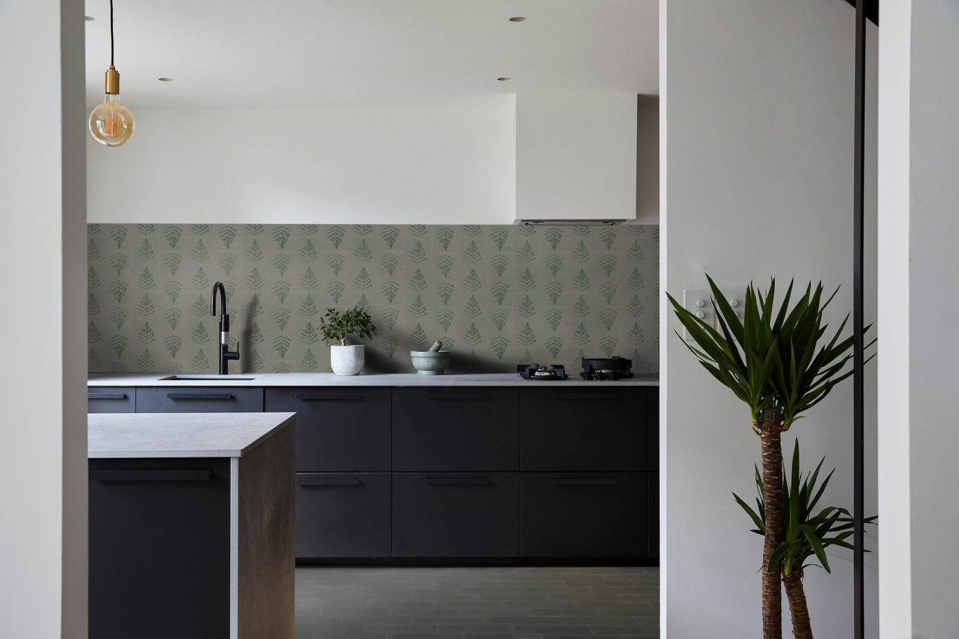 a black and white kitchen with a plant in the corner.