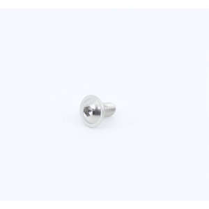 Screw M4X8/8 Iso 7380-2 A2