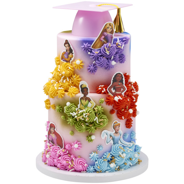 Disney Princess Assortment Poly DecoPics®