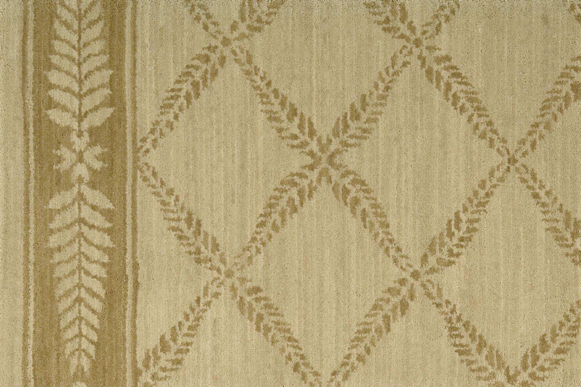 color-rug1