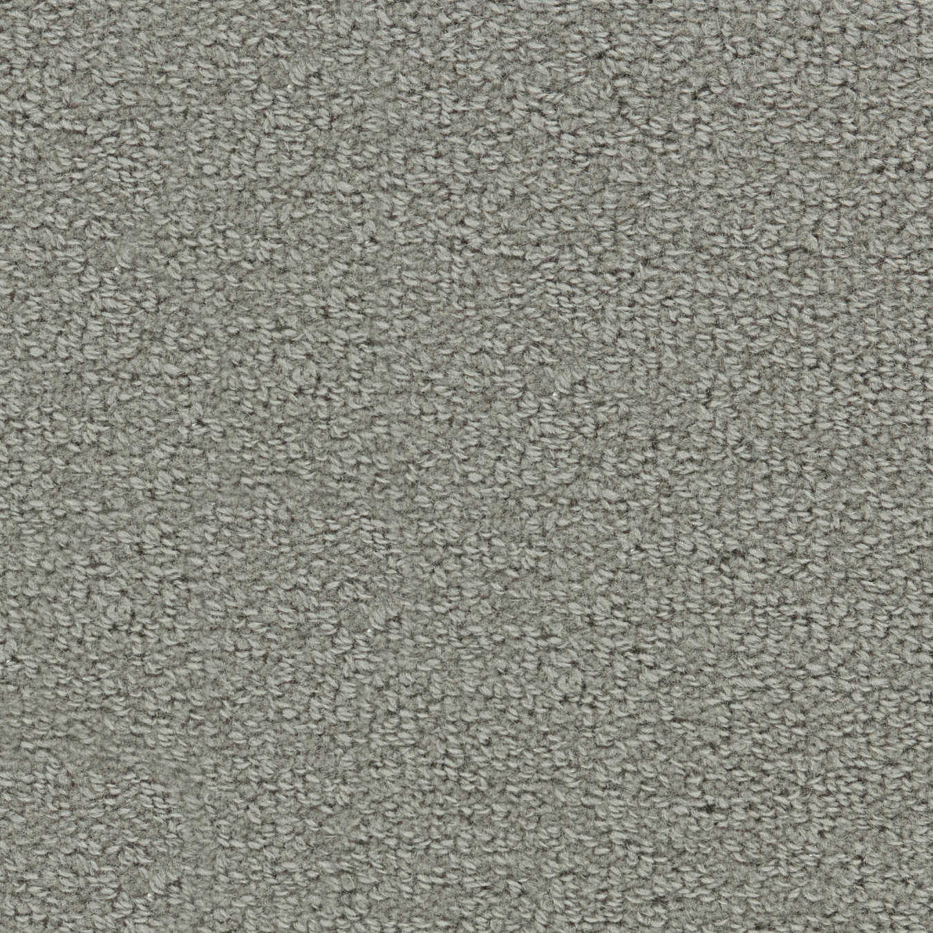 color-rug1