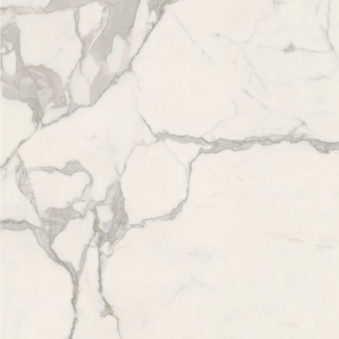 Color Variation Image