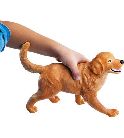 s--FWgYwEHD--/afvtzm0rgkjbfsr6uf1u.jpg