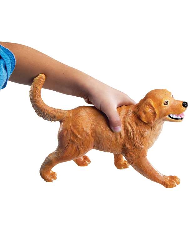 s--FWgYwEHD--/afvtzm0rgkjbfsr6uf1u.jpg