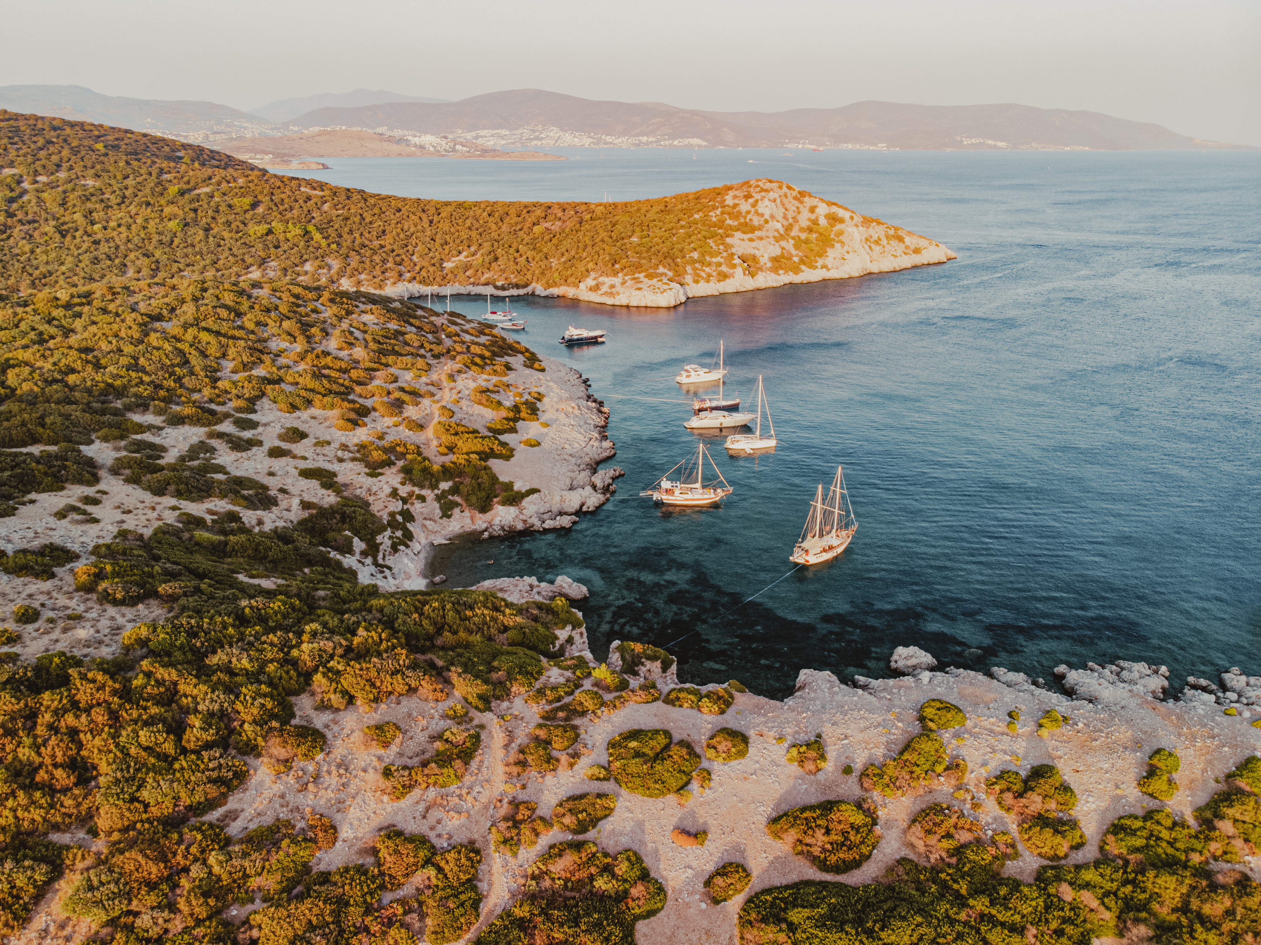 Fusina (Venice) → Piraeus (Athens) (10 nights)