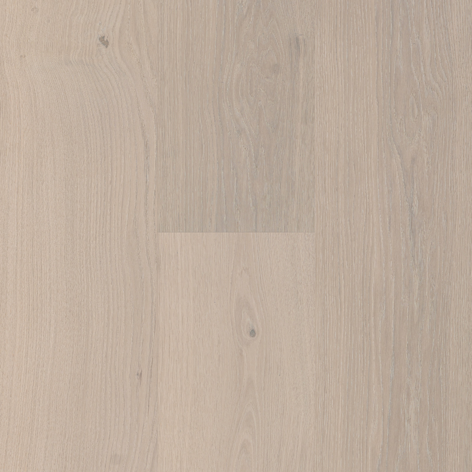 Provincial Ivory view 3