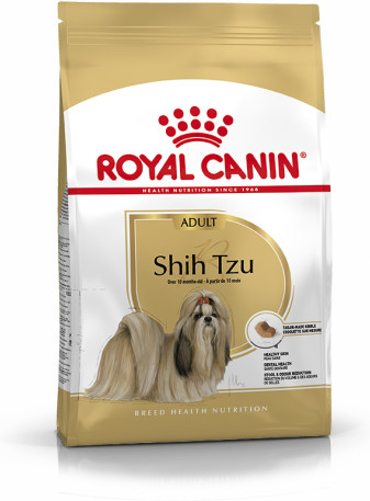 Shih Tzu Adult