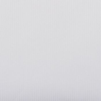 Vertical white pleated blind filling the frame with subtle ribbed texture; closed and diffusing soft daylight; minimal interior context, evenly lit neutral background.