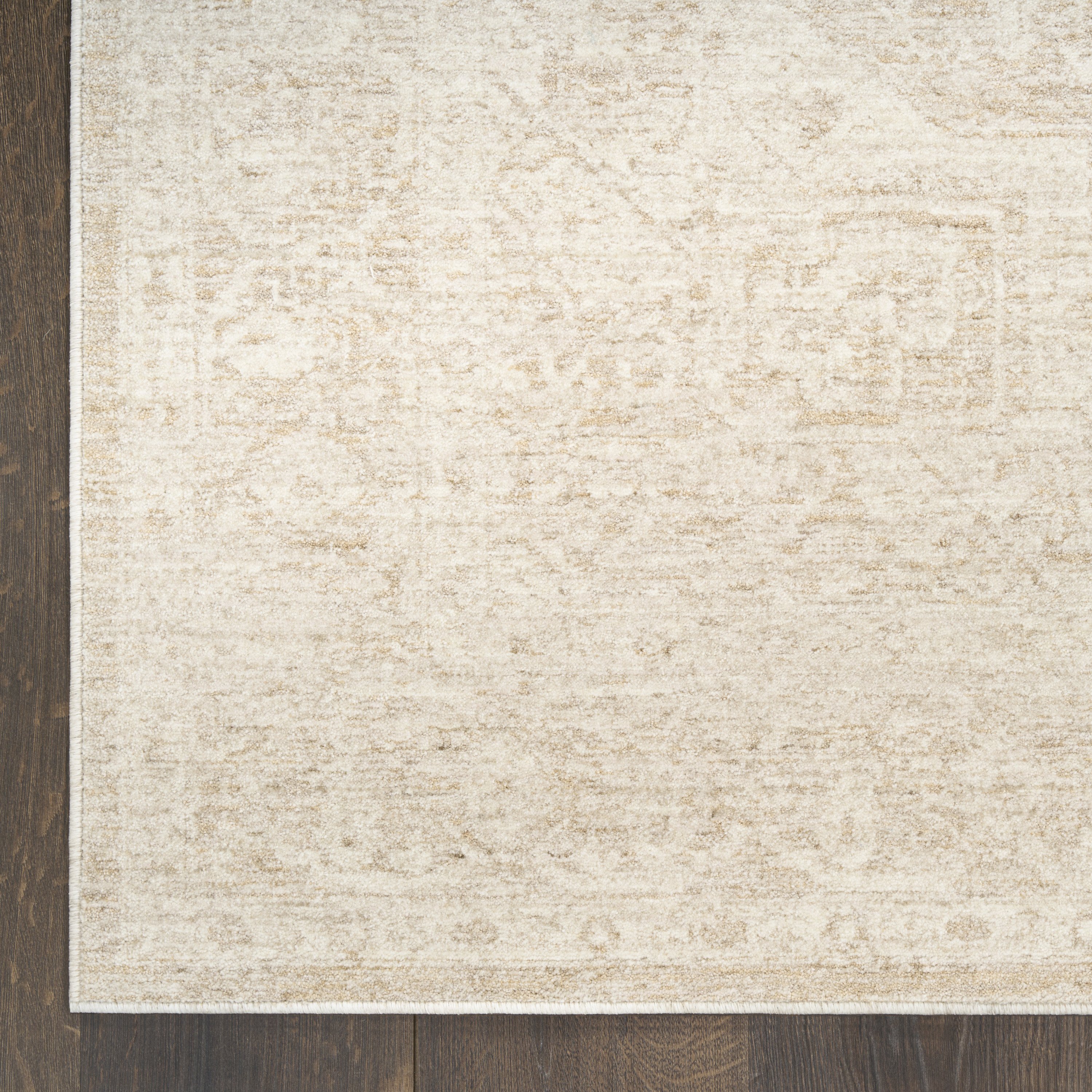 DKNY Pure Shades 4' x 6' Beige Vintage Indoor Rug