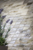 Lapis Flicker Pearl Pulse Mosaic