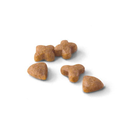 Sensible 33 kibble