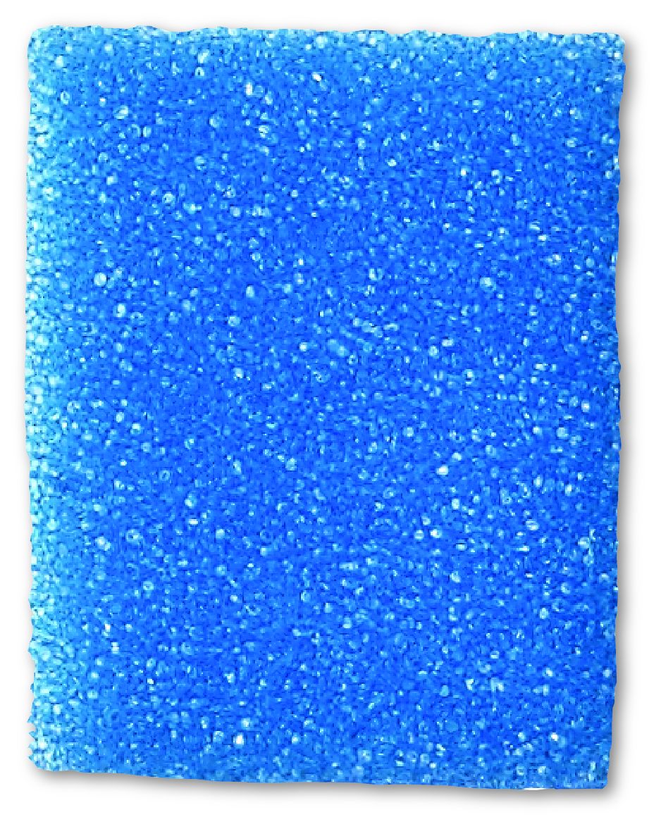 StatLab Medical Products SPONGE, BIOPSY FOAM BLU (1000/CS)