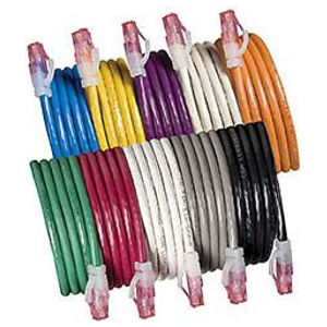 Cat 6 Patch Cable, 1 ft., Purple