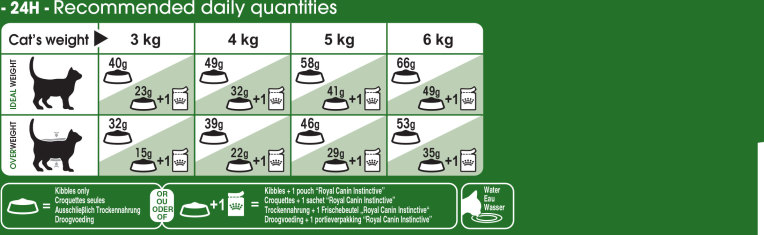 Feeding Guide