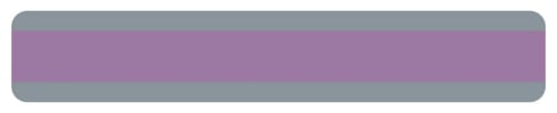 Double Wide Sentence Strip Reading Guide - Purple