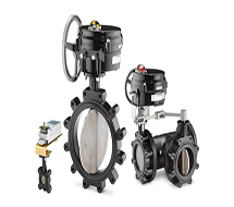 Resilient Seat Butterfly Valve Series