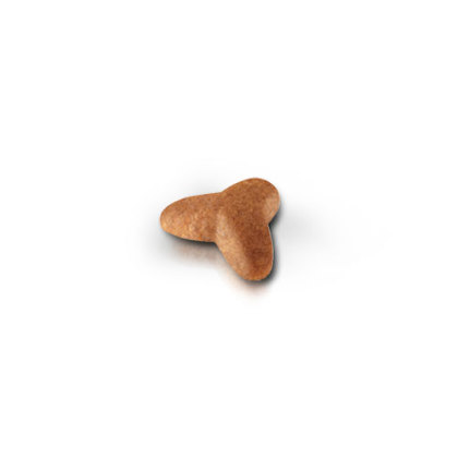 Pug Puppy kibble
