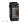 PowerPact™ Molded Case Circuit Breaker H-Frame Unit Mount 14 kA 600V 2-Pole 60A