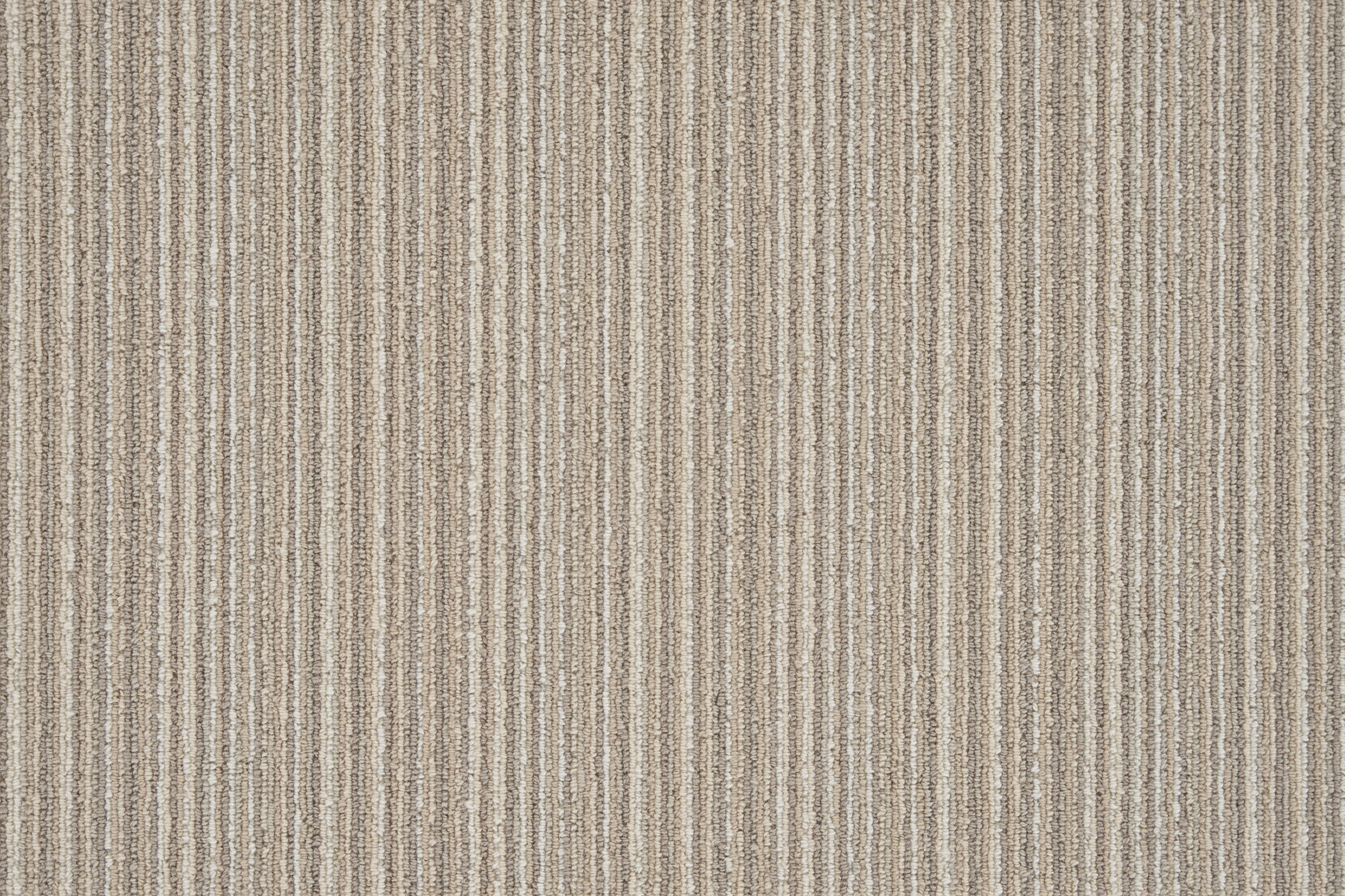 color-rug1