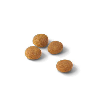 Aroma Exigent kibble
