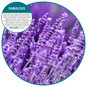 FREEA03611, Fresh Products, Eco-Air, Air Freshener, Fabulous