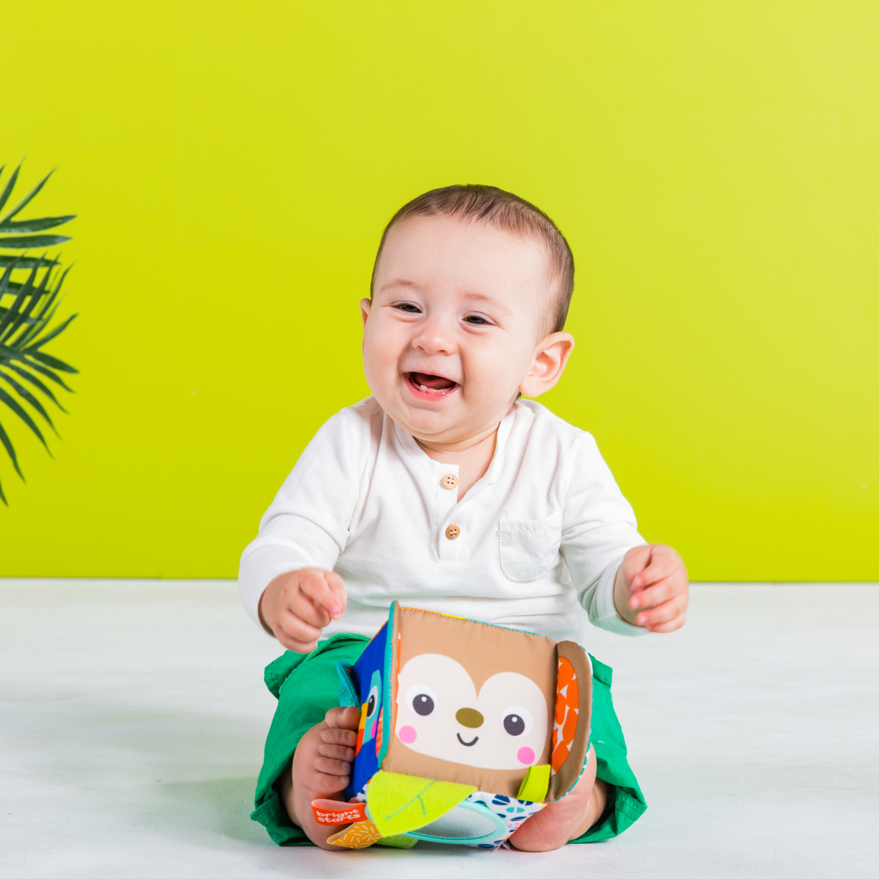 hide and peek pop up toy