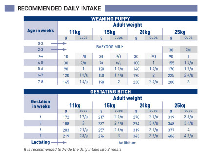 Pediatric starter feeding guide