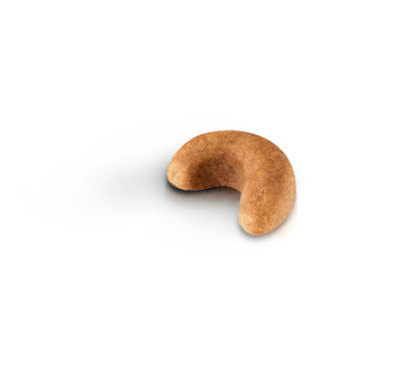 Cocker Puppy kibble