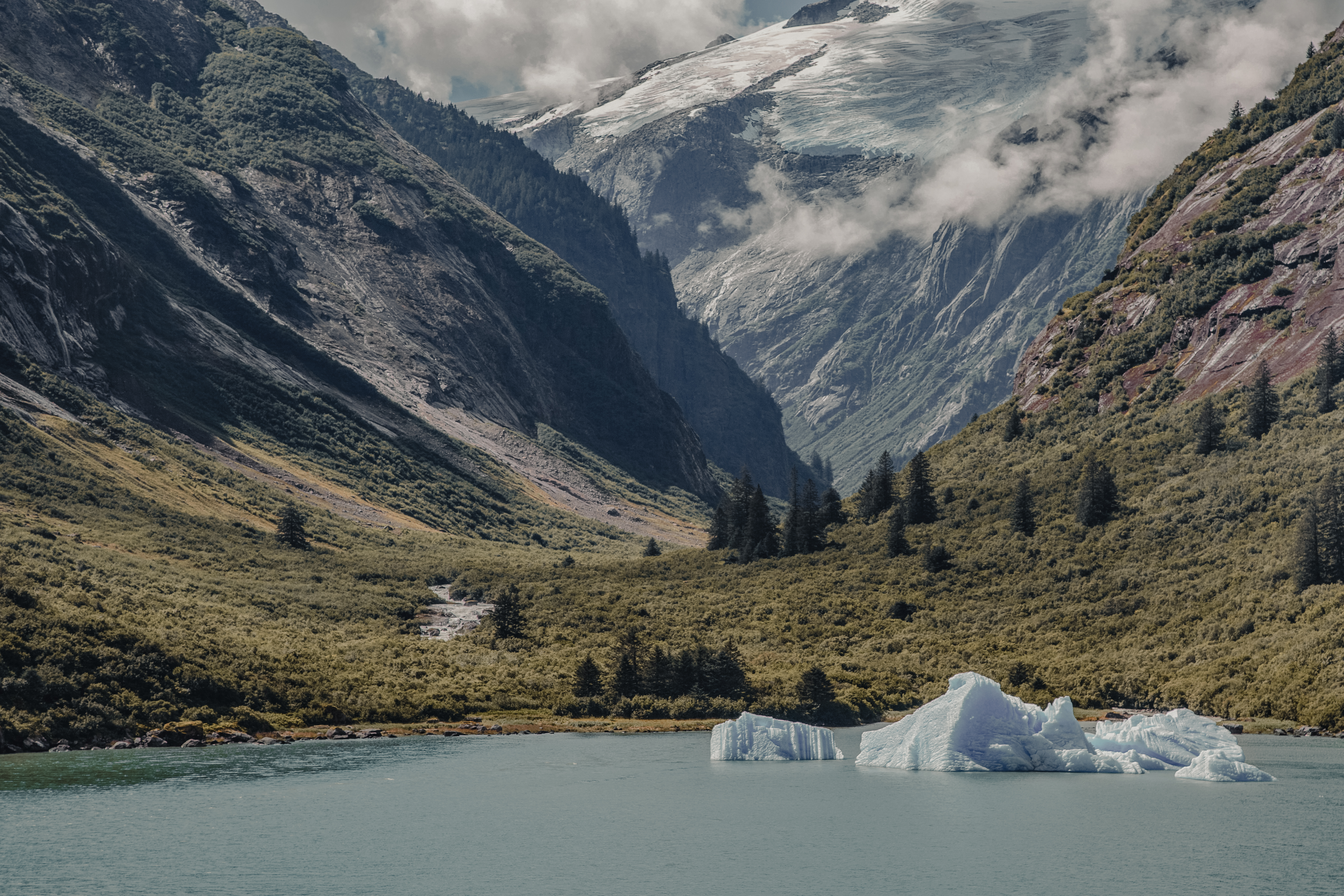 Seward → Vancouver (8 nights)