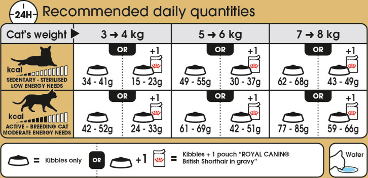 Feeding Guide