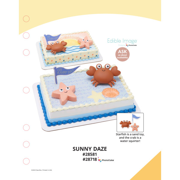 Sunny Daze The Magic of Cakes® PhotoCake® Enhanced Background and Icing Page