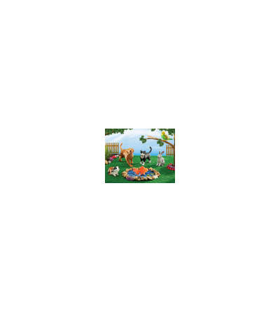 s--G8m1yeyA--/cgcpe0jthi0frlezaapk.jpg