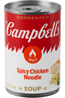 Spicy Chicken Noodle Soup