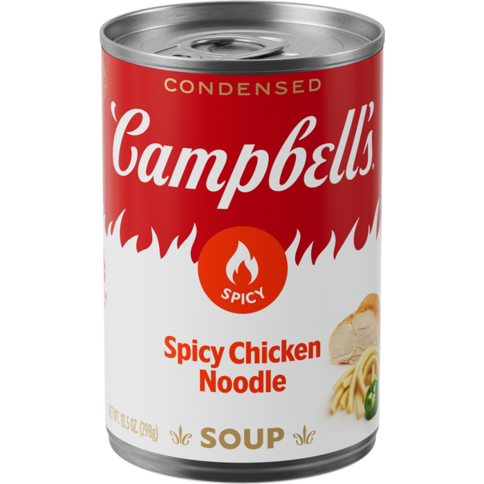 Spicy Chicken Noodle Soup