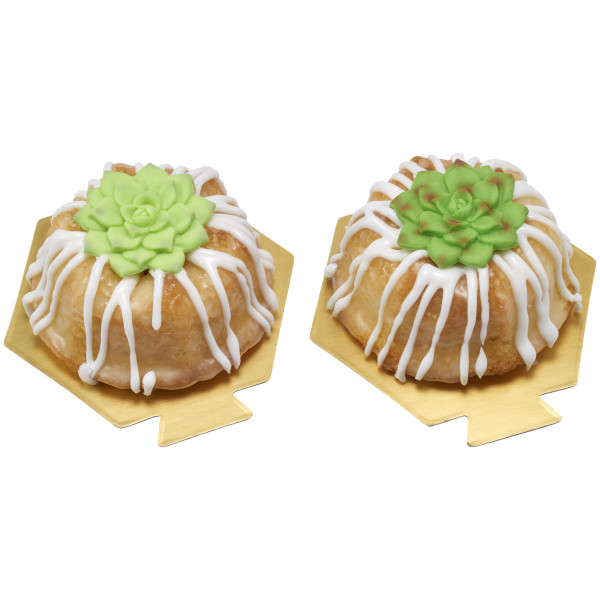 Succulents Sweet Décor® Edible Decorations