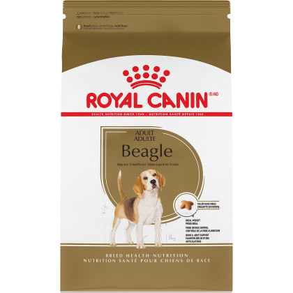 Royal Canin Breed Health Nutrition Beagle Adult Dry Dog Food