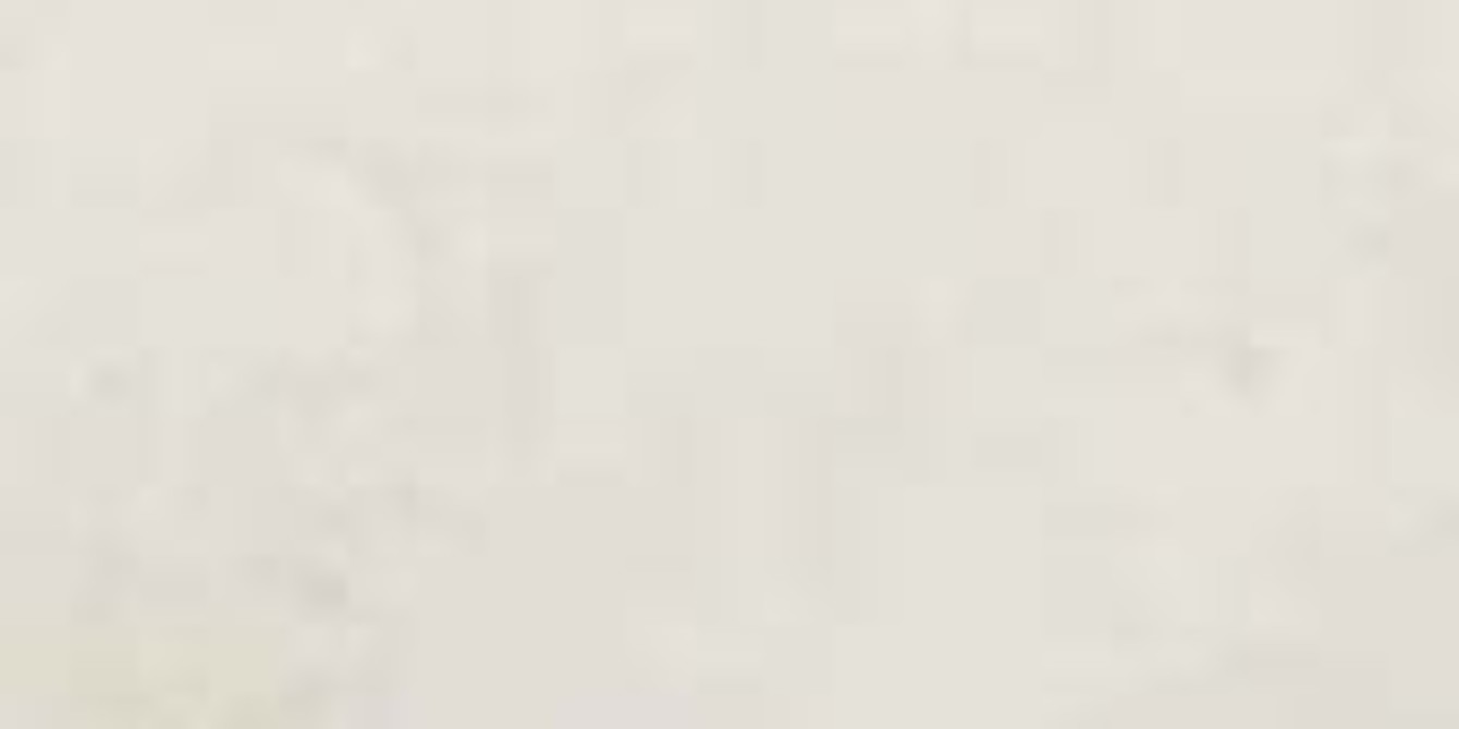 Rosedale Snow 12x24 Field Tile Matte Rectified Virginia Tile Company