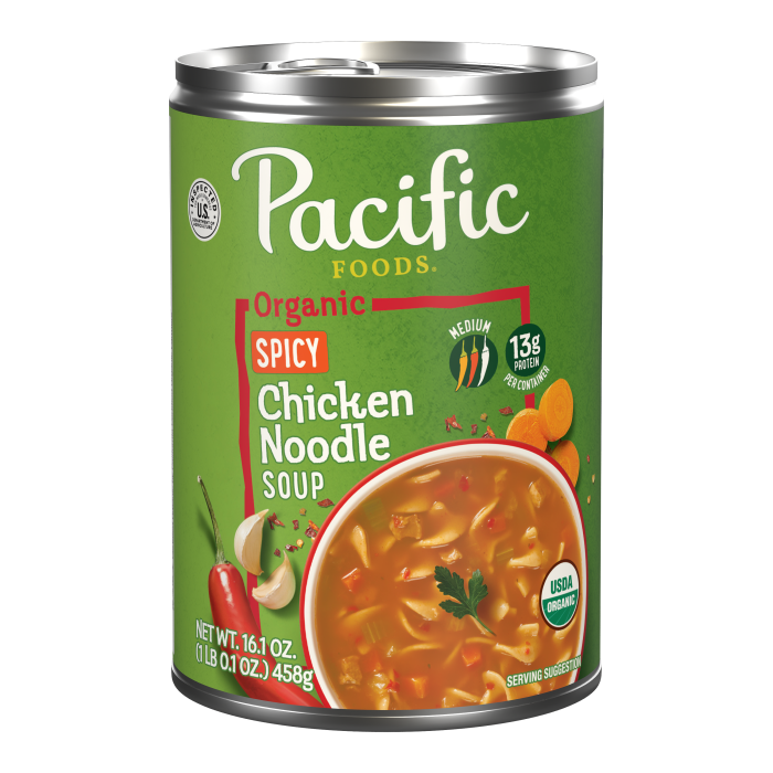 Organic Spicy Chicken Noodle Soup