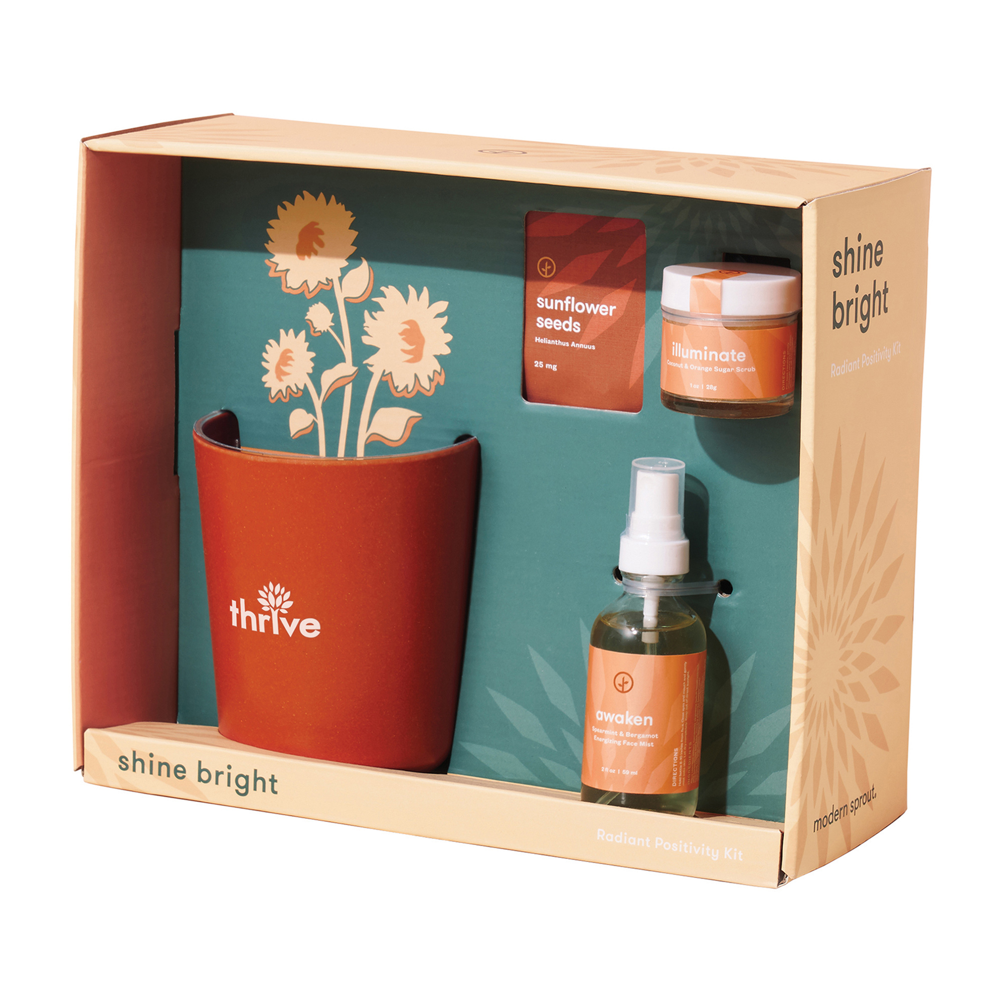 Modern Sprout® Shine Bright Take Care Kit - Sunflower-Modern Sprout