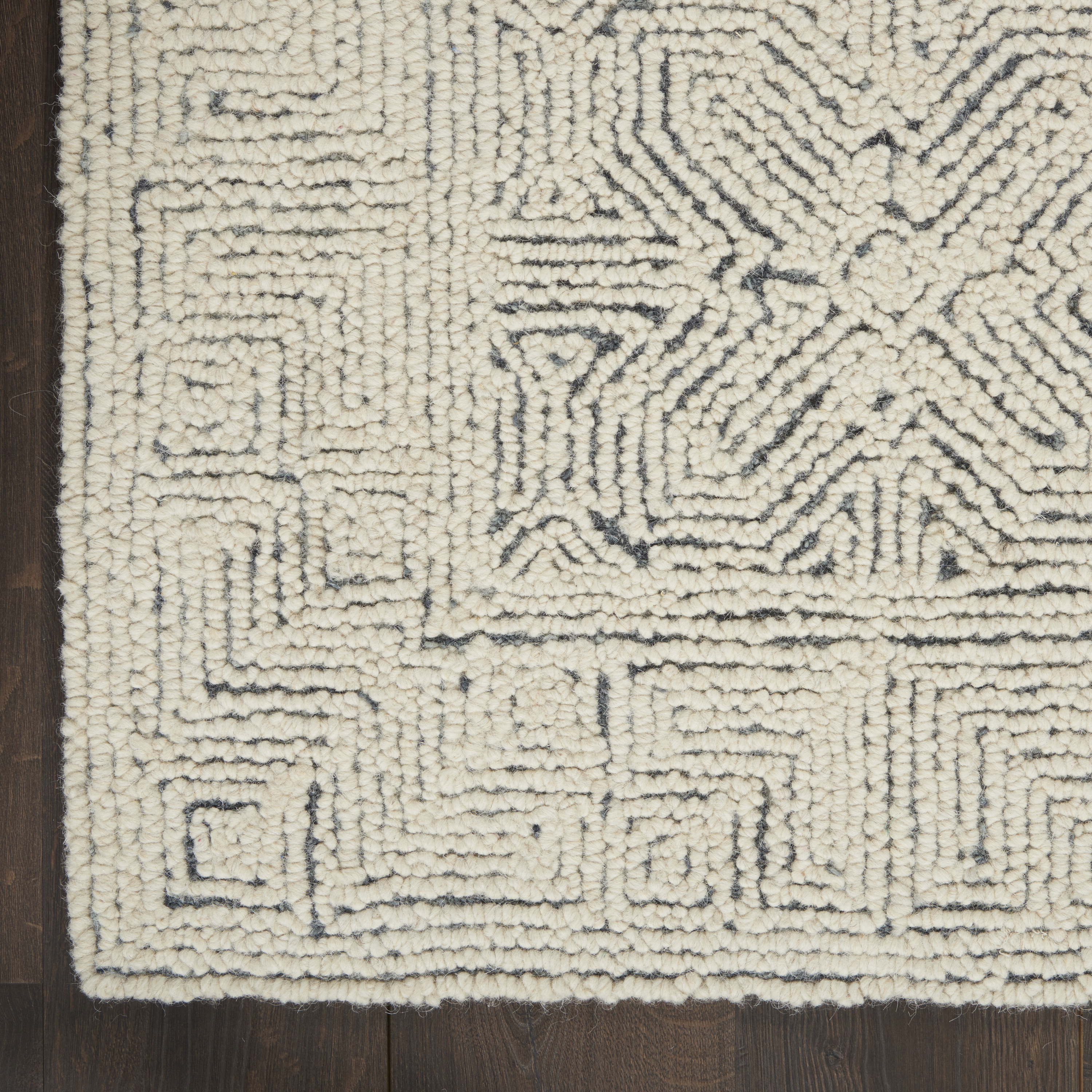 Nourison Colorado 3'9" x 5'9" Ivory Navy Modern Indoor Rug