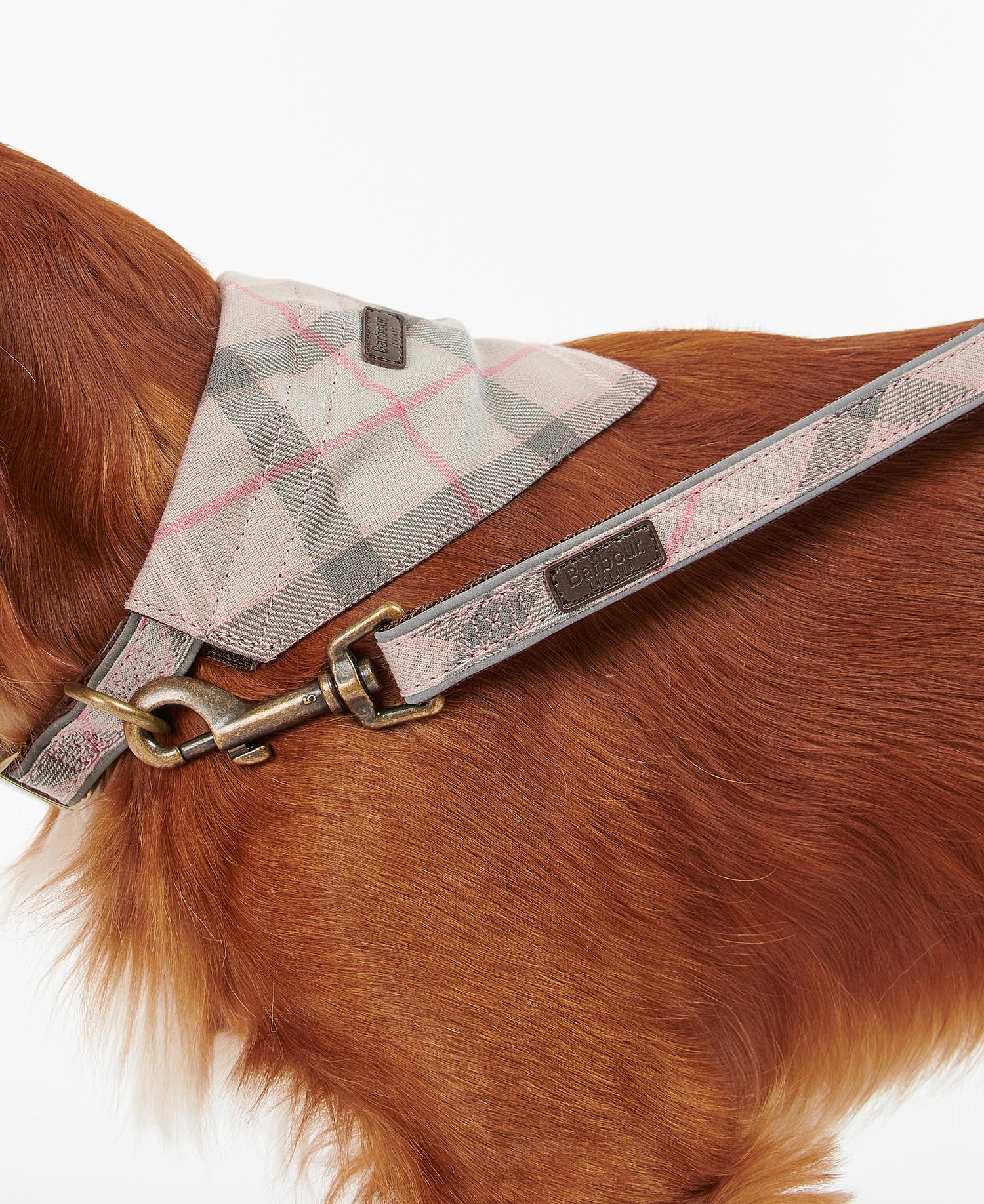 Reflective Tartan Dog Lead image number 2