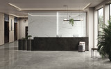 Beyond Calacatta Glam White 24x48
