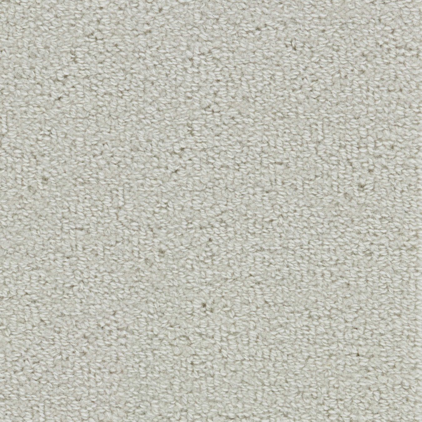 color-rug1